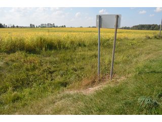 Property photo 64 - REAL ESTATE AUCTION - 604+/- ACRES IN 14 TRACTS IN MERCER CO., OHIO